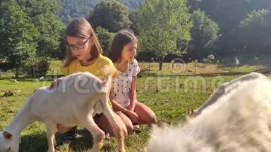 儿童和动物之间的友谊。 两个<strong>女孩</strong>在山上的草坪上和<strong>白羊座</strong>玩耍